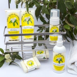 Why you should check if your insect repellent is APVMA approved - Lemon  Myrtle Fragrances